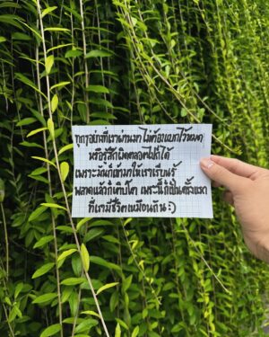 Pataradanai Setsuwan Instagram - 10กำลังใจจากเวียดนามนะคั๊บ 📝🐰🇻🇳

Thank you for the inspiration, Vietnam❤️‍🩹