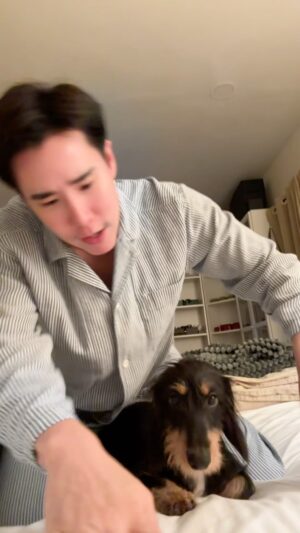 Pataradanai Setsuwan Instagram - เลี้ยงลูกแบบใจแข็ง ไม่สปอยน้อง 🐶❤️‍🩹 
ดุน้อง ❌ ทำให้เดี่ยวเหนื่อย ✅@uncle.healing