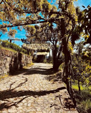 Patrick O'Connor Instagram - I say this every time I visit a new place, but Portugal wow - last slide for Pablo