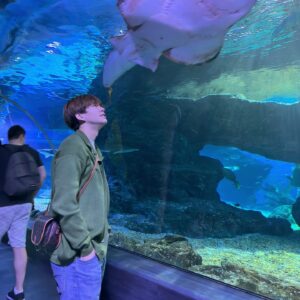 Patsapon Jansuppakitkun Instagram - My heart beats again n again 🐠