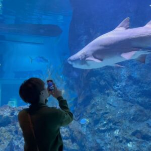 Patsapon Jansuppakitkun Instagram - My heart beats again n again 🐠