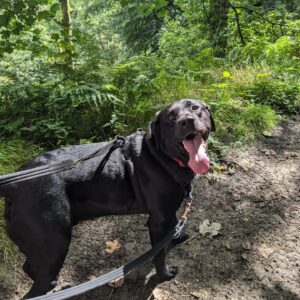 Paula Lane Instagram - In my happy place. Beautiful Hardcastle Crags ❤️