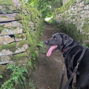 Paula Lane Instagram - Kids at football camp we decided to pack ourselves off with the pooch and have some time together 💕🍻 @sirtomshaw
Beautiful Haworth
@hawortholdhall delicious lunch 

'I will walk where my own nature would be leading' Emily Brontë