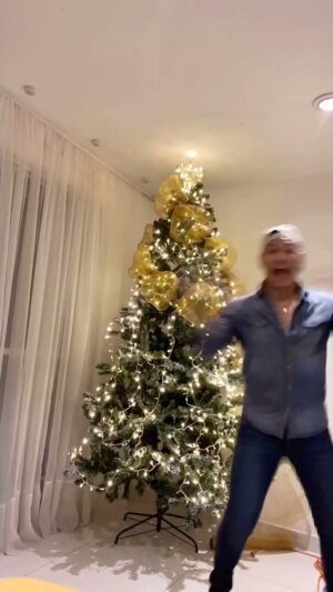 Pavel Arámbula Instagram - Siempre cuando me sugerían poner un árbol de navidad contestaba NOOOOOO NO Y NO… pero este año 2023 hice un pequeño cambio en mis pensamientos jajajaaja y Justo hoy ya tengo uno en casa!!! Así que quizás le haga unos ajustes también a este árbol ya que no soy experto en decoración de lábiles navideños 😅😅😅😅