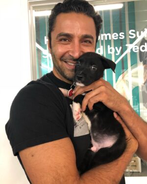 Pej Vahdat Instagram - I love you boys so much it hurts! My two sons #Charlie and #Zinny happy #nationaldogday @narsisattar we raised some good babies.