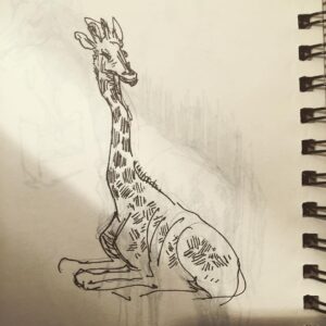 Pete Docter Instagram - Oakland (zoo) giraffe.