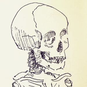 Pete Docter Instagram - Five year old skeleton, sketched at a medical museum in D.C.