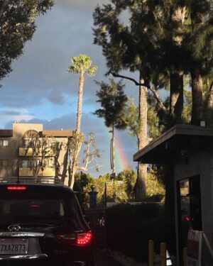 Peter Stormare Instagram - https://youtube.com/watch?v=IEXWw9MUeTc&si=fsdqLtQu-0n8HbdC