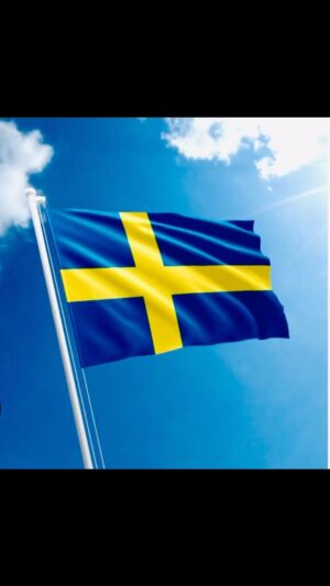 Peter Stormare Instagram - TODAY IS A VERY SPECIAL DAY IN SWEDEN. 6TH OF JUNE IS BJÖRN
BORGS BIRTHDAY🇸🇪🇸🇪🇸🇪🇸🇪🤪