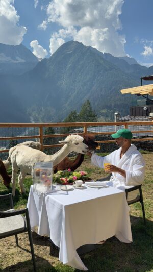 Pierre Abena Instagram - Which breakfast would you choose: Love theme ♥️ or Alpaca theme 🦙? Both were amazing! ✨ @chalet_al_foss 
.
.
.
.
.
.
#pierreabena #specialexperience #luxurytravel #travellover #alpaca #romanticbreakfast #italianalps #chaletalfoss #boutiquehotel #luxuryhotel #amazingviews #ocho #viptravel