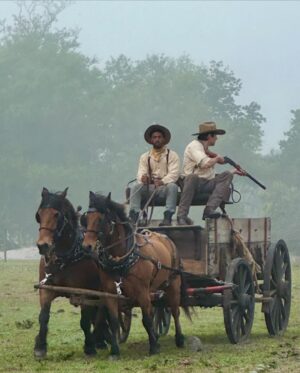 Pierson Fodé Instagram - “I came here to optimize in ice and kick ass… and pilgrim, I melted all the ice” -John Wayne (if he had a cold plunge) photo dump from @floridawildmovie - back to my roots as a farm kid who always wanted to be a Hollywood cowboy but the right role never came across. Till now… and ain’t been nothin but myself ever since. This was one of those rare experiences that happen on film where you’ll never forget how special it was. I was always tired but man I laughed till my face hurt and made some memories with new friends to last a lifetime. @themarkpentecost - had a singular vision to put every piece of this film together. And it’s just Day one… There are so many more photos and videos but you’ll just have to wait ;)