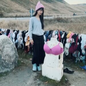 Ping-Ya Tai Instagram - 來自世界各地的原味內衣高高掛～～～👙
位在紐西蘭Wanaka通往皇后鎮的公路旁

主要目的是乳癌防治，可自由捐獻，或捐贈妳的內衣💪🏻

通常跟團的旅行團不會排的行程，自駕遊可以停下來休息拍照哦