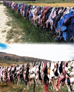 Ping-Ya Tai Instagram - 來自世界各地的原味內衣高高掛～～～👙
位在紐西蘭Wanaka通往皇后鎮的公路旁

主要目的是乳癌防治，可自由捐獻，或捐贈妳的內衣💪🏻

通常跟團的旅行團不會排的行程，自駕遊可以停下來休息拍照哦