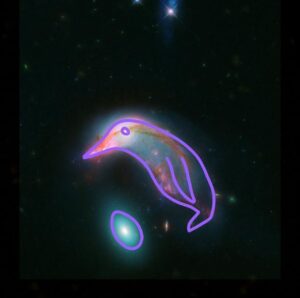 Pinguini Tattici Nucleari Instagram - Qualche giorno fa la pagina ufficiale della @nasa ha riproposto questa immagine, di qualche anno fa, di questo “pinguino spaziale”. Sono due galassie interagenti che con il tempo si fonderanno tra loro. Per ora sembra quasi che il pinguino stia proteggendo il suo uovo. Ci sembrava giusto condividere questa bellezza anche qui. 🐧