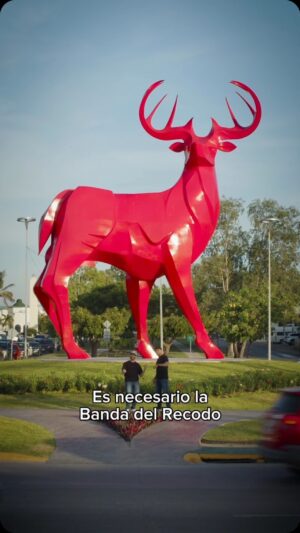 Poncho Lizarraga Instagram - Que lindo es todo lo que hay en Mazatlán. Aquí la vida se pasa sin llorar. ¡Esto y más es Mazatlán! 🌊🌴🎺 bienvenido a todos y cada uno de los turistas #bandaelrecodo #corridodemazatlan #iUUU
