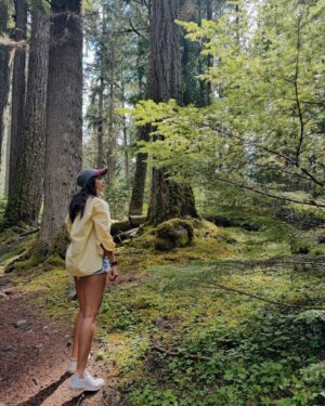 Pooja Hegde Instagram - We stood
Steady as the stars in the woods
So happy-hearted
And the warmth rang true inside these bones
As the old pine fell we sang
Just to bless the morning ❤️