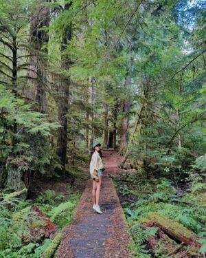 Pooja Hegde Instagram - We stood
Steady as the stars in the woods
So happy-hearted
And the warmth rang true inside these bones
As the old pine fell we sang
Just to bless the morning ❤️