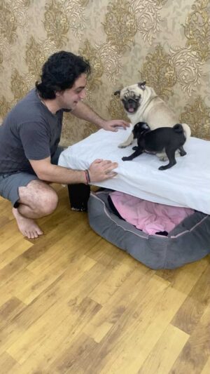 Praneet Bhatt Instagram - Fun with kids😊#fitness #doglover #praneetbhatt