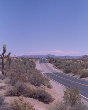 Prateek Kuhad Instagram - Joshua Tree, exactly an year ago.