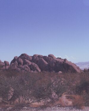 Prateek Kuhad Instagram - Joshua Tree, exactly an year ago.