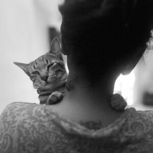 RJ Ananthi Instagram - A cute lil captivation for some oxytocin release🐾❤️
@cats_of_mahamaitri
