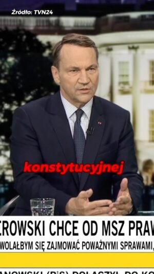 Radoslaw Sikorski Instagram - Prezydent nie wypełnia swojej konstytucyjnej roli. #prezydent #polityka #prawo #służba