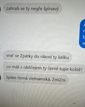 Raego Instagram - Chápu, že nejsem asi oblíbenec všech. To asi ani nejde.  Nicméně podtext a nenávist zprávy jsem Vám chtěl ukázat, abyste viděli obě strany mince. Jsem zvyklej na různý výhružky, nadávky, ale tak nějak si myslím, že co je moc, to je moc. Váš názor? 🫶