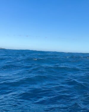 Raphaël Pépin Instagram - Une journée plus que parfaite … la course avec les copains et pour finir en beauté … les dauphins 🐬🌞 MERCI @seadoosafarilembongan