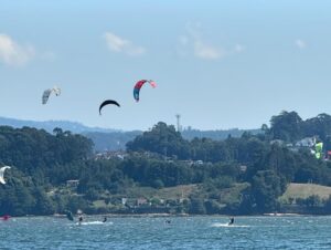 Raquel Sánchez Silva Instagram - ¡Qué bonita es Galicia!
Y…¡qué calor hace! 😅😂😂😂
Playa maravillosa Arecova Beach.
Visita al Bosque Encantado.
Chapuzón.
KITE en Cesantes.
Manjares.
¡Viva Galicia!