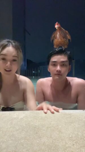 Rathanand Chanyachirawong Instagram - กุ๊กไก่ หัวโขก ทำไปทำไม