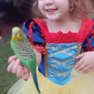 Rebecca Victoria Hardy Instagram - The most magical princess ✨ 
#snowwhite #disneyprincess #momlife #toddlermom