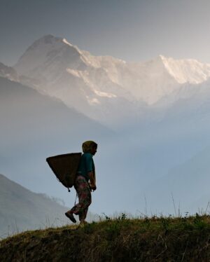 Renan Öztürk Instagram - The assignment within the assignment. For the “Last Honey Hunter” which was my first still assignment I had talked with master editor @sadiequarrier about ways not just to capture the honey hunting action but also a sense of place of the small village of Saadi below the Himalaya in remote eastern Nepal.

One concept was trying to shoot every single member of the village at 85mm on the same backdrop for a big grid that would fold out in the magazine.  They never made the final cut, but nevertheless it was a really cool to document a slice of life in this way. 

@expedition.studios @natgeo @jetbutterflies @climber.abiral @taylorfreesolo @ben_knight @irving_matthew #sonyalpha #thelasthoneyhunter