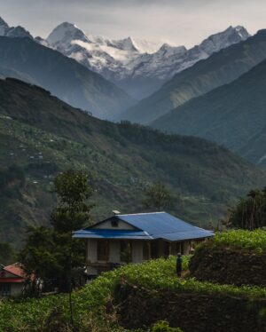 Renan Öztürk Instagram - The assignment within the assignment. For the “Last Honey Hunter” which was my first still assignment I had talked with master editor @sadiequarrier about ways not just to capture the honey hunting action but also a sense of place of the small village of Saadi below the Himalaya in remote eastern Nepal.

One concept was trying to shoot every single member of the village at 85mm on the same backdrop for a big grid that would fold out in the magazine.  They never made the final cut, but nevertheless it was a really cool to document a slice of life in this way. 

@expedition.studios @natgeo @jetbutterflies @climber.abiral @taylorfreesolo @ben_knight @irving_matthew #sonyalpha #thelasthoneyhunter