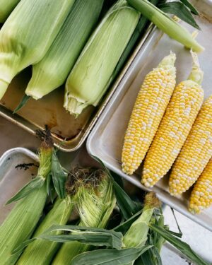 Ricardo Larrivée Instagram - 🌽 Quelqu’un a dit épluchette? 🌽

Laurence et Alexane, nos cheffes en cuisine de développement sont allées chercher deux douzaines d’épis à l’épicerie pour une petite séance d’épluchette au bureau. Elles travaillent présentement sur le développement d’un dossier 100 % maïs! On ne peut pas vous en dire beaucoup à l’heure qu’il est, mais une chose est certaine : il y a quelques bijoux de recettes dans les premiers tests. 🤤

À suivre dans un futur magazine RICARDO.