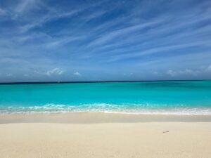 Ricardo Pereira Instagram - Recharging the batteries, especially the battery of love 🩵 

@avanimaldives it’s so good to be here! 🏝️💚🐠

#love #familytrip #maldives #MaldivesParadise
#MaldivesVacation
#VisitMaldives #MaldivesIslands
#MaldivesResort #MaldivesLife
#MaldivesBeach #MaldivesDiary
#MaldivesMagic