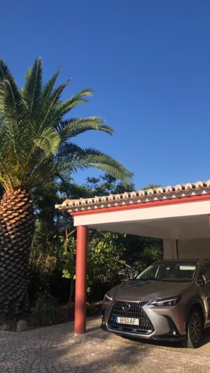 Ricardo de Sá Instagram - 🌞 Dias de pura diversão e descanso com amigos na @springvillas , no coração do Algarve! 🌊✨ Casas de luxo que nos fazem sentir em casa, disponíveis para alugar durante todo o ano. Já imaginam as memórias que criamos aqui? 😍 Entre piscinas incríveis, paisagens deslumbrantes e uma vibe única, cada momento é simplesmente inesquecível! Quem já está a planear a próxima viagem? 🏡🌴 

#algarve #feriascomamigos #luxury #realestate #springvillas #veraooanointeiro #aluguerdeférias #descanso #paraísoeuropeu  #friendship