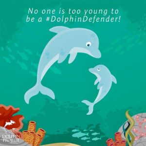 Richard O'Barry Instagram - Calling all ocean-loving teachers! Did you know we have free Study Guides on our website? They are available in multiple languages and for multiple age groups!
Head to bit.ly/DolphinStudyGuides to check them out!
#DolphinProject