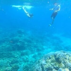 Richard O'Barry Instagram - Under the Sea: Father and daughter quality time.