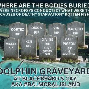 Richard O'Barry Instagram - THE SMOKING GUN: The eight dolphin who were put in the ground on Blackbeard Cay had a miserable life and then they died—right under the nose of the Alliance of Marine Parks and Aquariums (AMPAA) And the International Marine Animal Trainers Association (IMATA) There are dozens of dolphin trainers, veterinarians, ticket takers, spin doctors, and corporate whores who are part of this dolphin captivity industry in the Bahamas Islands. These people knew, or should have known, about the secret dolphin graveyard on Blackbeard Cay. Dolphin Project shouldn’t have to inform them. So they knew. And yet they did nothing to help those that died, or the five survivors. Not one of them had the decency, or guts to blow the whistle on their own industry. Dolphin Project had to blow the whistle for them.  Their industry displays the same apathetic behavior at the cove in Taiji, Japan; dolphin trainers turning a blind eye on their colleagues who participate in the violent capture of dolphins. Do we need more proof that this multi-billion dollar industry does not police itself?  It is indeed an industry of hypocrisy and lies.