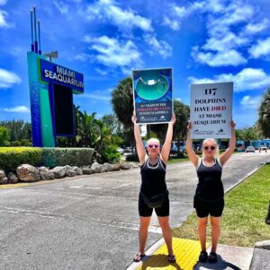 Richard O'Barry Instagram - #emptythetanksworldwide #dolphinproject #abolishthetanks