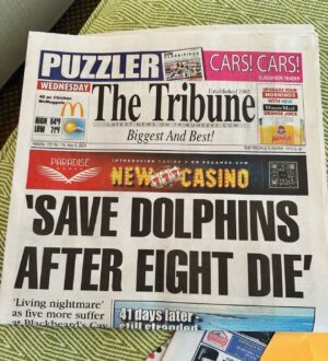 Richard O'Barry Instagram - Update: http://www.tribune242.com/news/2024/may/08/save-dolphins-after-eight-die/
