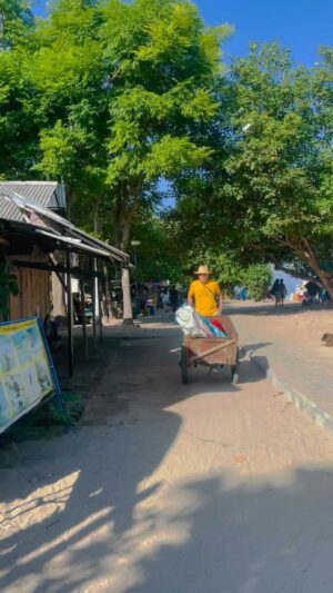 Richard O'Barry Instagram - Freeing dolphins from captivity and freeing Bali beaches from plastic gives one that same great feeling. Try it, you’ll see what I mean.  TrashHeroes.org DolphinProject.com