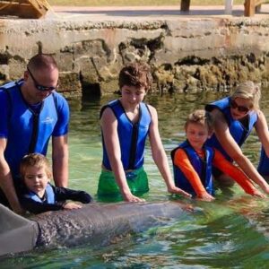 Richard O'Barry Instagram - The Greenwashing of Swimming and Fondling Captive Dolphins in a Shallow Water Canal in Key Largo: Dolphins Plus @dolphinsplus is one of several roadside captive dolphin swim programs in the Florida Keys. These attractions are the last remnants of the old time roadside animal shows in Florida. They used be strung out all along Highway A1A. Most of these animal attractions were abolished long ago. In order for the captive dolphin swim programs to survive they have to greenwash themselves as environmentally correct “Dolphin Rescuers.” Steve McCulloch is listed as “Executive Director” of Stranding Operations and Development. They respond to dolphin standings once in a blue moon. The photograph doesn’t lie; tourists on can fondle a dolphin for cash, credit card or check💰. He’s also associated with the Attica Zoo dolphin stadium in Greece. Steve trafficked the last group of dolphins into the zoos stadium from Finland. He’s filling the same tanks we’re trying to empty! Animal shows are banned in Greece, yet the show goes on in the Attica Zoo dolphin stadium. Steve is now involved in a project in Norway—buyer beware! Okay, back to #dolphinsplus—here is how they advertise one of their many dolphin swim products: “Private Group $325 per person. 
“Connect to Protect” program,(#dpmmr) you will experience the same breathtaking moments that make up the “Connect to Protect” swim but with the privacy of having the entire facility to yourself. This small group experience is available for family and friend groups of up to 6 people and includes a private educational briefing before entering the dolphin habitat for a custom-tailored interaction program.” *Dolphins Plus are card carrying members of IMATA (International Marine Animal Trainers Association) and AMMPA (Alliance of Marine Mammal Parks and Aquariums) This is the dolphin captivity industry, folks. Wake up! Don’t be fooled. And please DON’T BUY A TICKET for any captive dolphin interactive program. “Dolphins Plus Marine Mammal Rescue” actually spends most of their time doing this: #dpmmr —The photos don’t lie. Ticket sellers do! 
#EmptyTheTanks