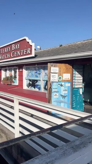 Richard O'Barry Instagram - Thank you one and all for showing up to support our work. What a great group of people! And thank you Captain Nancy and #Monterey_Bay_Whale_Watch for this amazing experience.