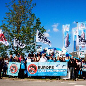 Richard O'Barry Instagram - Big protest happening today in Belgium 🇧🇪. Won’t you join in? Best way to create a “Dolphinarium Free Europe” is to show up for the various dolphinarium protests in Europe! The animal rights group, BiteBack will be at the gates of Boudewijn Seapark again today. My intention was to join them for this protest, unfortunately I’m not able to travel again until I get a much needed COVID🦠 booster shot. Boudwijn is the last dolphin Abusement park left in Belgium. It will fall if enough people show up to help BiteBack with the protest. I’ll be joining them later on when it’s safe for me to travel again. Meanwhile, I’m hoping all of the activists in the Belgium area will hop on a train and head over to Boudwijn Park today and let them know how you feel about Dolphin Abusement Parks in Europe. #BiteBack #dolphinproject  #emptythetanks