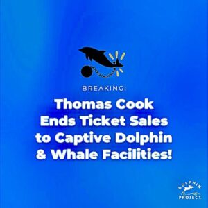 Richard O'Barry Instagram - Measurable progress!  Jo at #DolphinFreedomUK did the heavy lifting on this campaign. Thank you Jo! 🙏 
#dolphinfreedomuk #dolphinproject