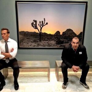 Rick Hoffman Instagram - #suits6 #reraffergram #benched