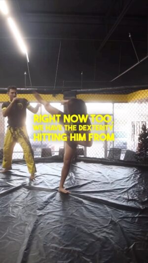 Ricky Turcios Instagram - Coach @rickyturcios shared a nice warmup drill to practice spin hook kicks and balance with both sides! 
This comes from our love of traditional martial arts so give it a try during your training. Make sure not to go too fast if you are just warming up like us. Let your body stretch and loosen before hitting it hard and fast. 
🐲
Follow @houseofdragonsinternational & @rickyturcios for more fight tips!
🐲
🐲
🐲
#karate #muaythai #karaté #karatekyokushin #karatekicks #karatecombat #mma #mmafighter #mmatraining #muaythaifighter #muaythailife #muaythaigram #muaythaigirls #boxing #boxersofinstagram