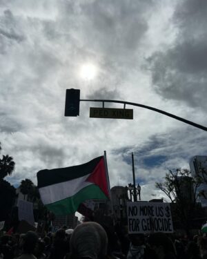 River Butcher Instagram - 🇵🇸🇵🇸🇵🇸🇵🇸