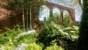 Robert Fripp Instagram - RF: Down the garden this sunny Saturday morning I...